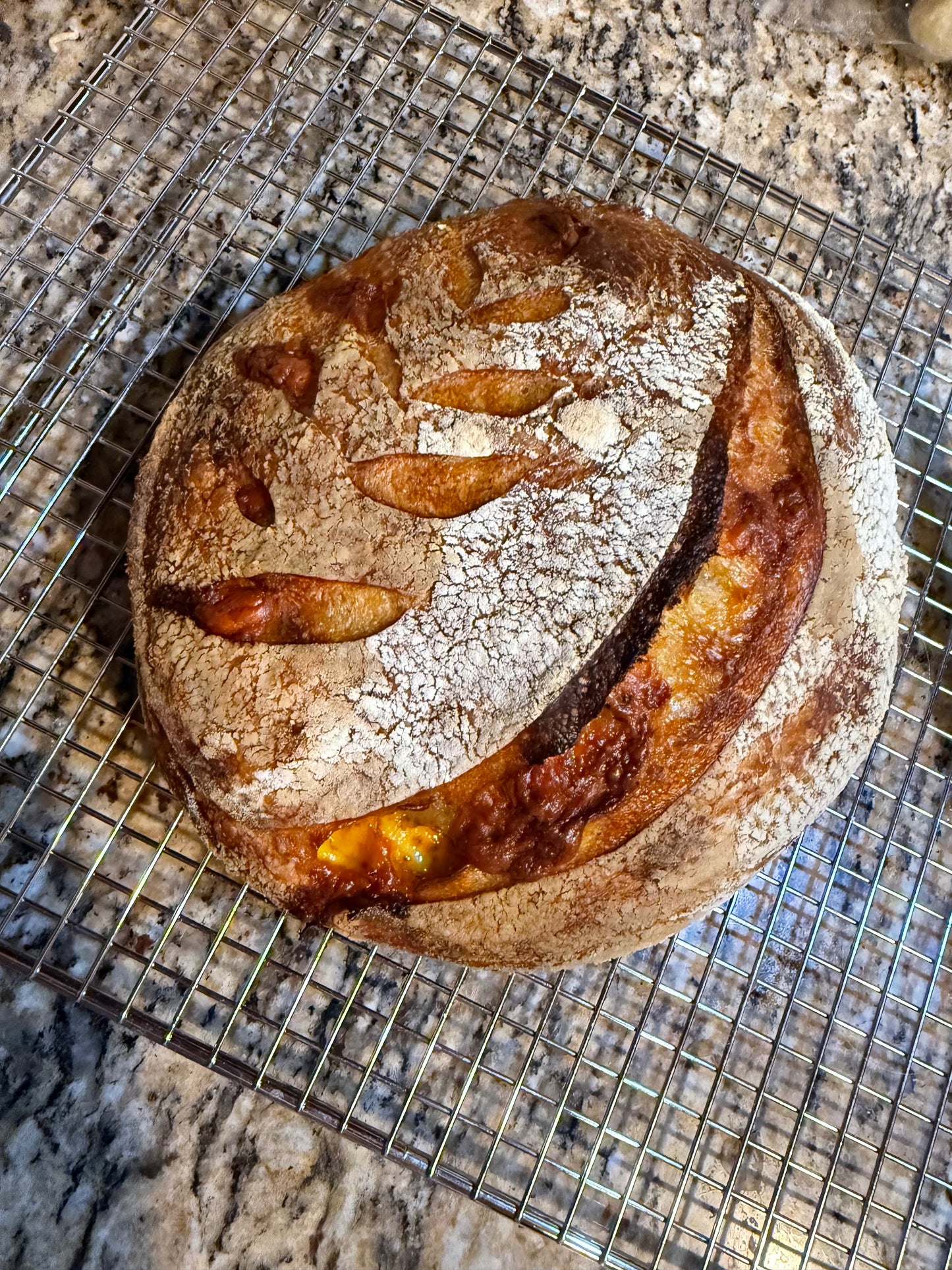 Traditional Artisan Loaf